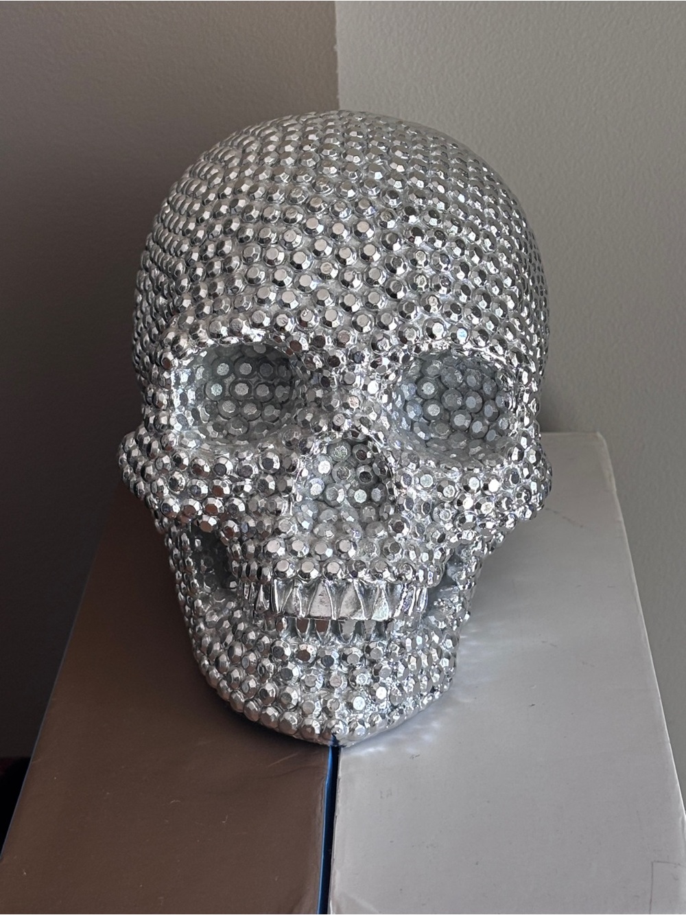 Silver tone acrylic Skull Decorative Sculpture - Home Art Accent